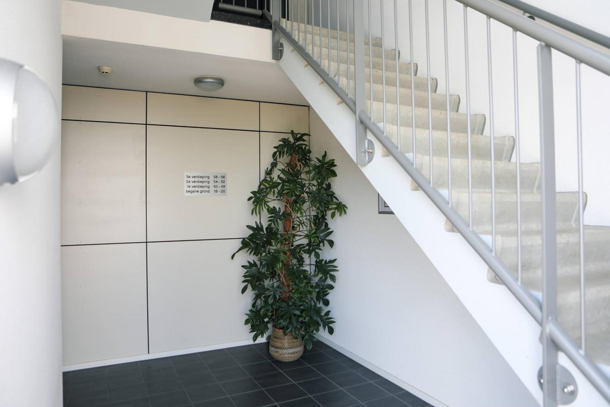 Strand Appartementen Wemeldinge Dış mekan fotoğraf